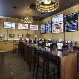 Watch live horse racing at the Coomera Tavern in the Gold Coast
