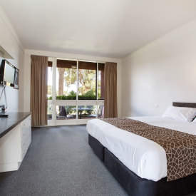 Comfortable accommodation in the Studio King