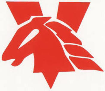 Mandurah Mustangs Football Club
