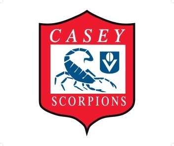 Casey Scorpions Football Club
